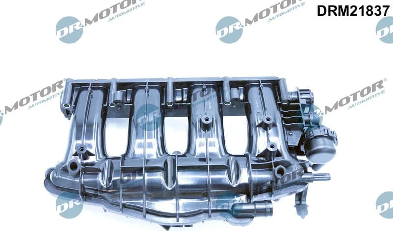 Intake Manifold Module DRM21837