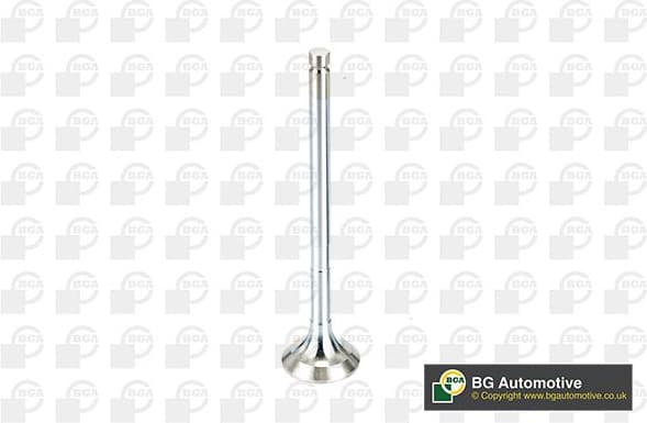 Exhaust Valve V991909