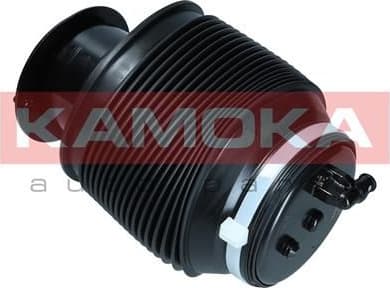 Air Spring, suspension 2079036