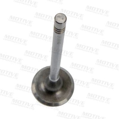 Intake Valve IV10040 - image 3