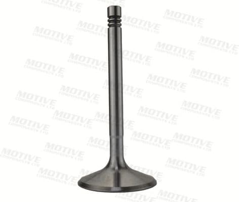Exhaust Valve EV10039