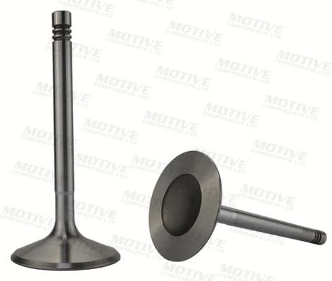 Exhaust Valve EV10039 - image 2