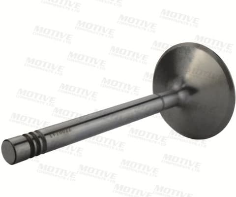 Exhaust Valve EV10039 - image 3