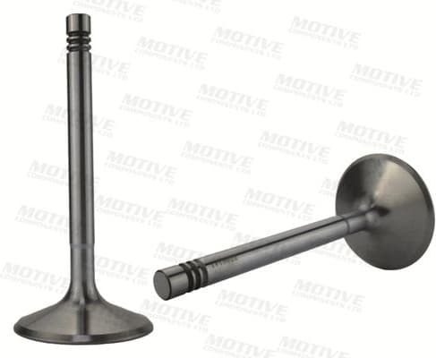 Exhaust Valve EV10039 - image 4
