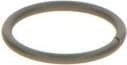 Seal Ring F 00V C23 002