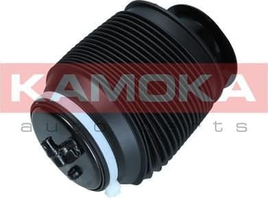 Air Spring, suspension 2079037