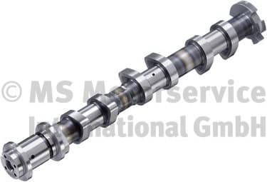 Camshaft 50056016