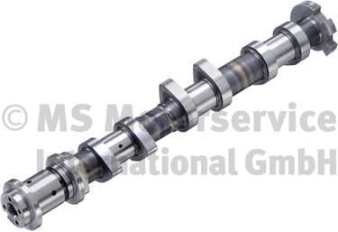 Camshaft 50056017