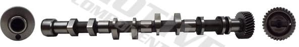 Camshaft T8198