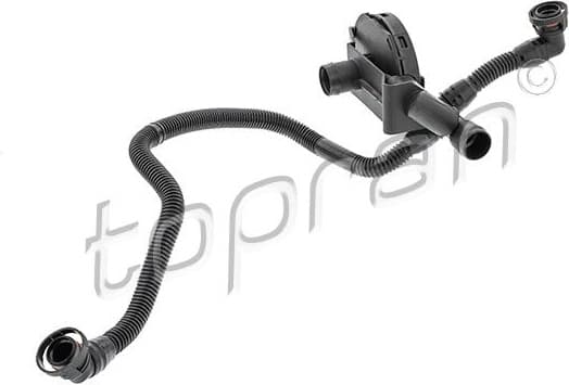 Hose, cylinder head cover ventilation 116426