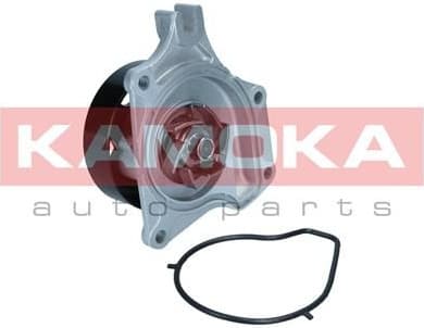 Water Pump, engine cooling T0307