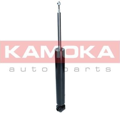 Shock absorber rear 2001169