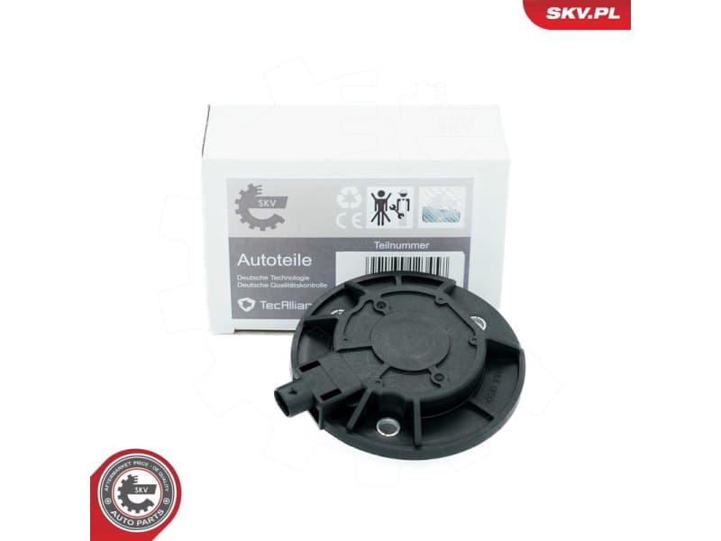 Central Magnet, camshaft adjustment 39SKV900
