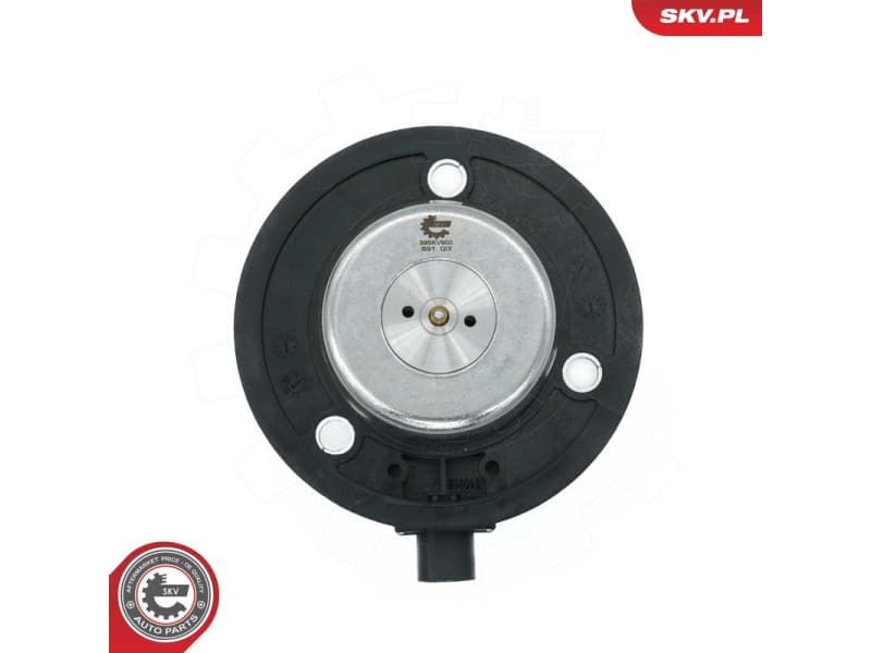 Central Magnet, camshaft adjustment 39SKV900 - image 4