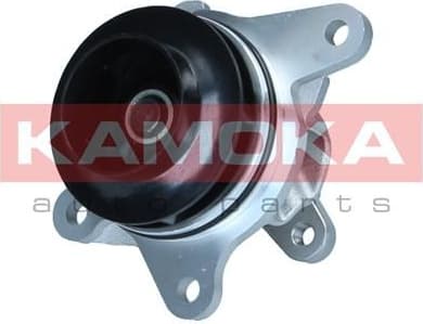 Water Pump, engine cooling T0297 - image 2