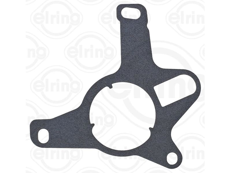 Gasket vacuum pump 785.710