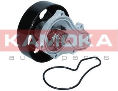 Water Pump, engine cooling T0304