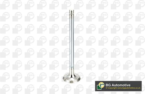 Exhaust Valve V998717