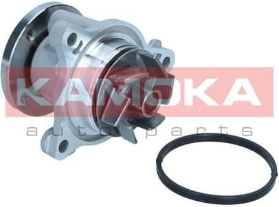 Water Pump, engine cooling T0310