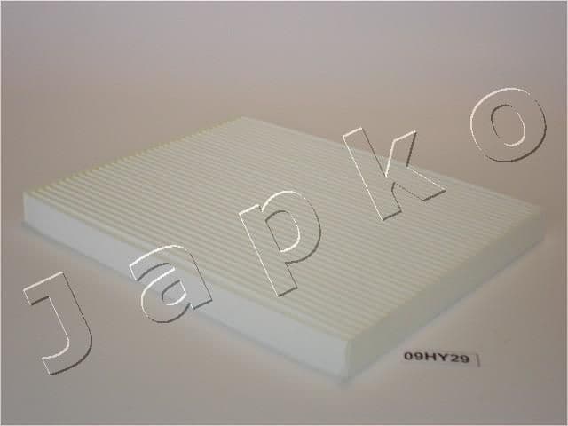 Filter, cabin air 21H29