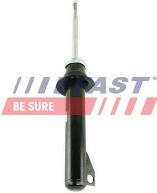 Shock Absorber FT11088
