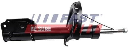 Shock Absorber FT11294