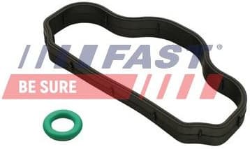 Seal Ring, cylinder head cover bolt FT48302