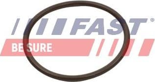 Seal Ring, charge air hose FT49933 - image 2