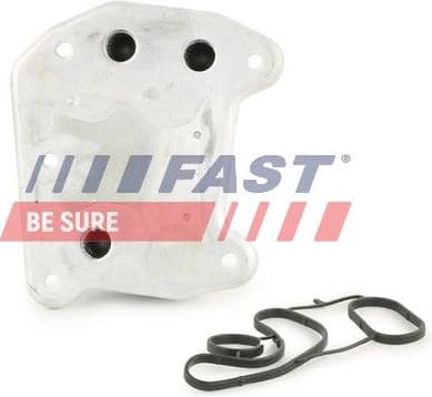 Oil Cooler, engine oil FT55411