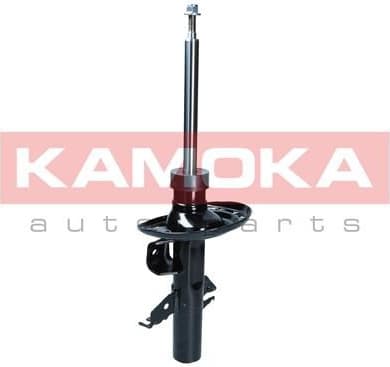 Shock Absorber 2000093