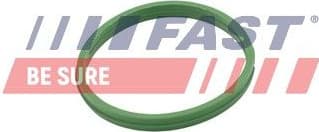 Seal Ring, charge air hose FT49855