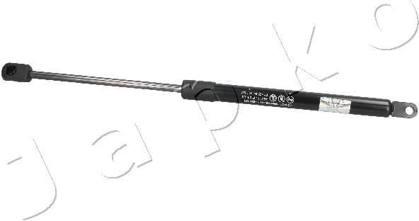 ZSJ09105