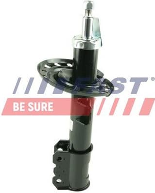 Shock Absorber FT11091
