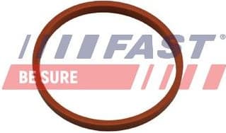 Seal Ring, charge air hose FT48932