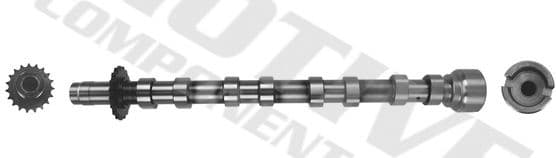 Camshaft T4002