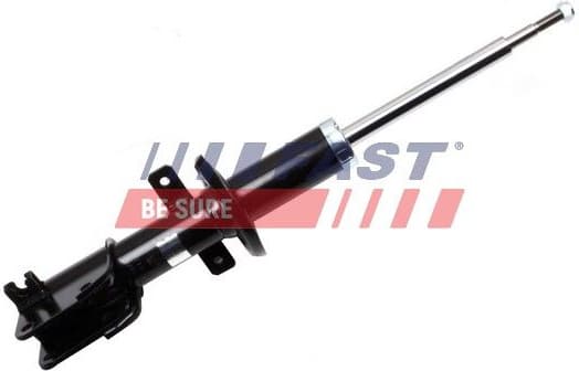 Shock Absorber FT11713