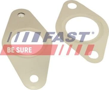 Gasket Set, EGR system FT50621