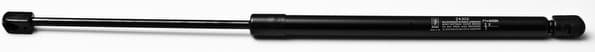 Gas spring FA24302