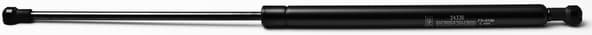 Gas spring FA24336