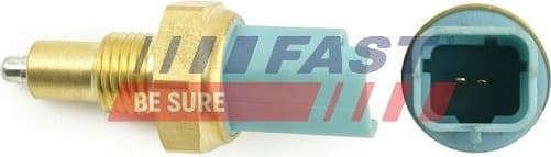 Switch, reverse light FT81034