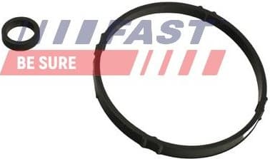 Seal Ring, oil cooler (lubrication) FT48952