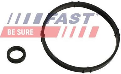 Seal Ring, oil cooler (lubrication) FT48952 - image 2