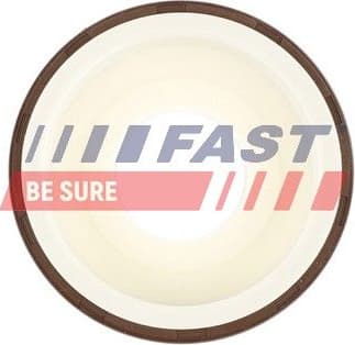 Shaft Seal, crankshaft FT49817