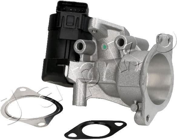 EGR Valve 1500302