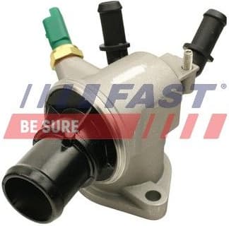 Thermostat, coolant FT58166
