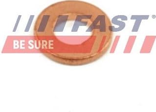 Heat Shield, injection system FT49848