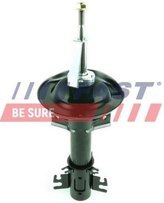 Shock Absorber FT11317