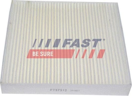 Filter, cabin air FT37312