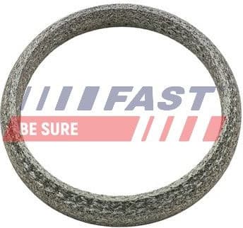 Seal Ring, exhaust pipe FT84818