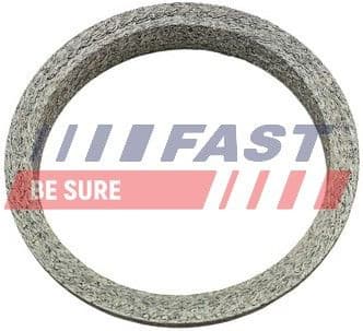 Seal Ring, exhaust pipe FT84818 - image 2